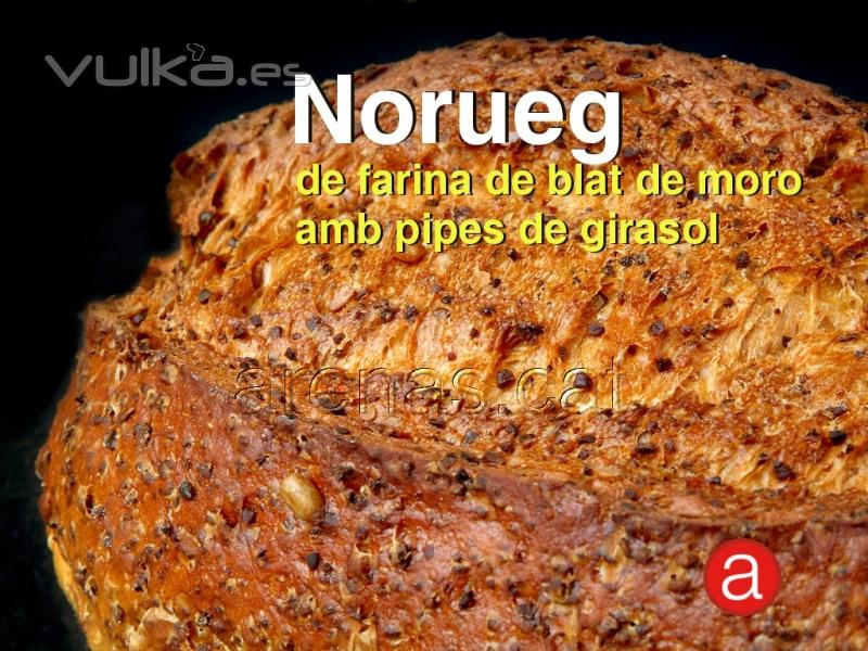 Pa Norueg