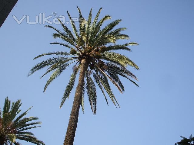 lugar paradisiaco....