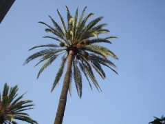 Lugar paradisiaco