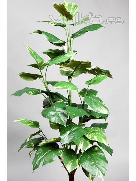 Pothos artificiales economicos. POTHOS ARTIFICIAL ECONOMICO oasisdecor.com