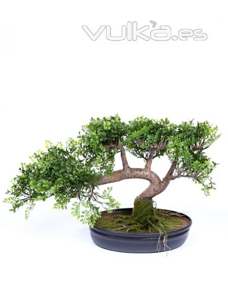 Bonsais artificiales de calidad. BONSAI LEUCADENDRON ARTIFICIAL oasisdecor.com