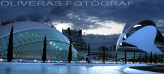 Oliveras fotograf,sl - foto 18