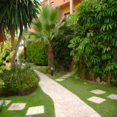 Mantenimiento de jardines en benalmadena