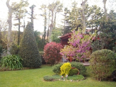 Diseno de jardin