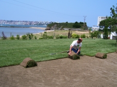 Pradera con tepes