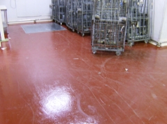 Pavimento epoxy multicapas en muelle expediciones