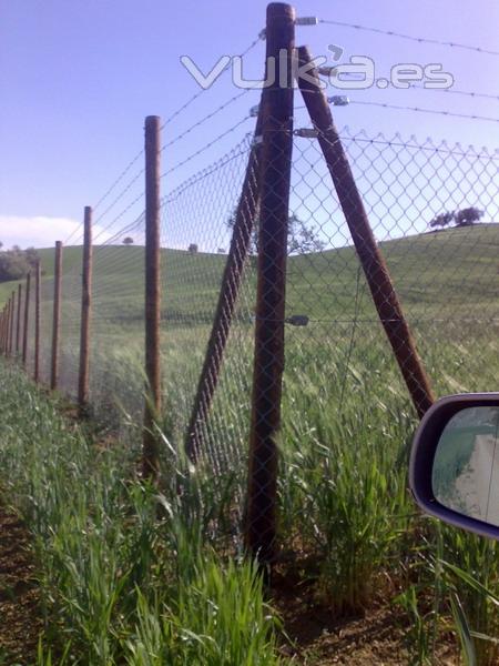 Cercado formado por malla S.T complementada con alambre de espino instalada en postes de madera 