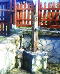 Diseno fuente jardin