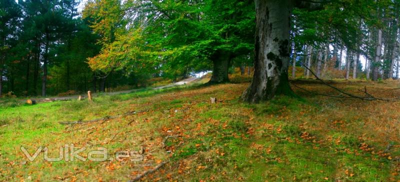 Fotografa naturaleza en Bizkaia. Muchos rincones a tu alcance.