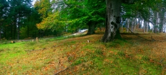 Fotografa naturaleza en bizkaia. muchos rincones a tu alcance.