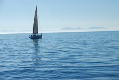 Cada fin de semana organizamos regatas en el golfo de rosas, animate a navegar con nosotros!