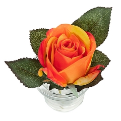 Arreglo floral rosa naranja maceta vidrio 12 en lallimonacom (detalle 1)