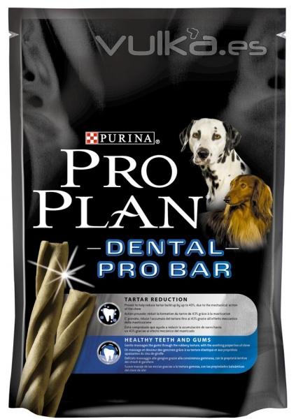 PRO PLAN DENTAL con su novedosa fórmula a base de clavo (antibacteriano, combate el aliento...etc.)