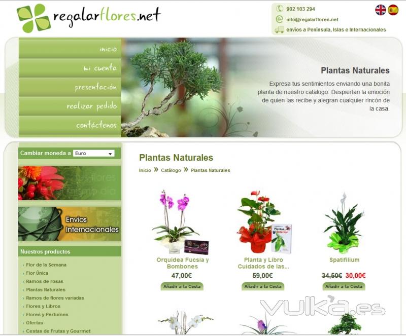 RegalarFlores.net Plantas naturales http://regalarflores.net