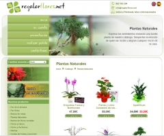 RegalarFlores.net Plantas naturales http://regalarflores.net
