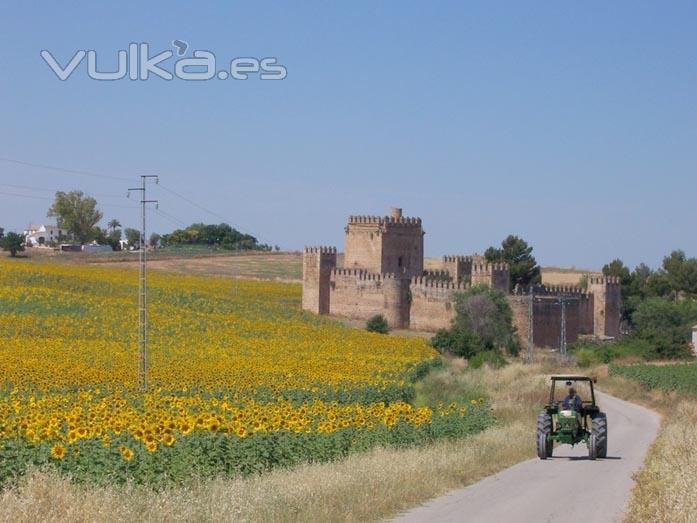 RESORT CAMPERO LAS AGUZADERAS