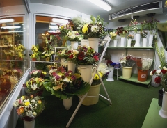 Flores semanales importadas de todo el mundo!