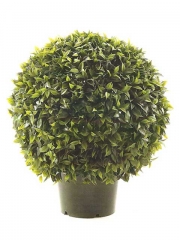 Articoencasacom -bolas de ficus, boj y laurel todos los diametros y alturas con o sin macetas entra en nuestro