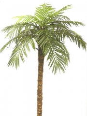 Articoencasacom - palmeras arecas, diferentes tamanos ideales para decoraciones de eventos, discotecas, atrezzo