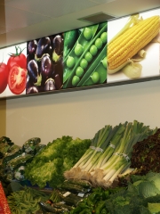 Pared grafica iluminada interiormente con tubos fluorescentes