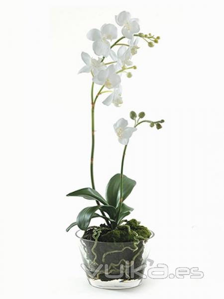 Orquideas artificiales. MACETA CRISTAL GRANDE CON PHALAENOPSIS ARTIFICIAL BLANCA oasisdecor.com