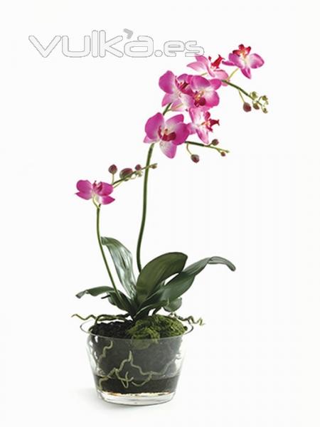 Orquideas artificiales. MACETA CRISTAL GRANDE CON PHALAENOPSIS ARTIFICIAL CICLAMEN oasisdecor.com