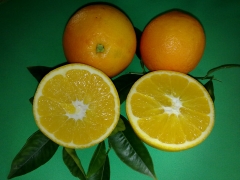 Naranja 1 calidad de mes
