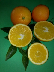 Naranja 1 calidad de mesa