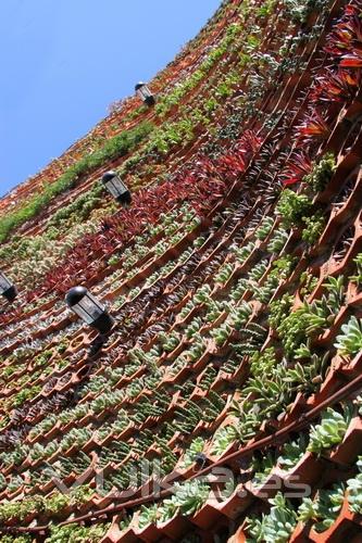 Jardn vertical en Ibiza.