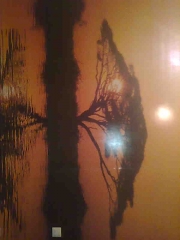 pared