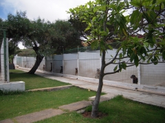 RESIDENCIA CANINA MIRABAL