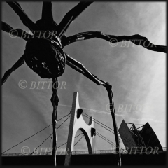 Foto arte - foto 21