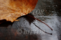 Foto arte - foto 8