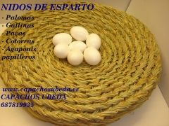Nidos de esparto para aves, somos fabricantes, buscamos distribuidores en espana 687819935