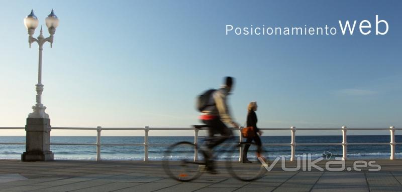 posicionamiento-web-asturias