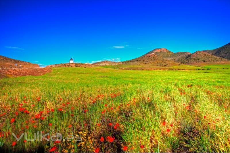 Parque Natural Cabo de Gata - Níjar