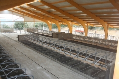 Nave para explotación vacuna