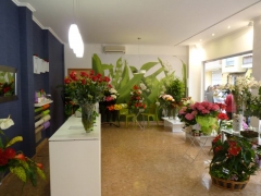 La floristeria por dentro
