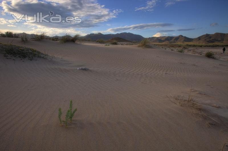 Parque Natural Cabo de Gata - Njar