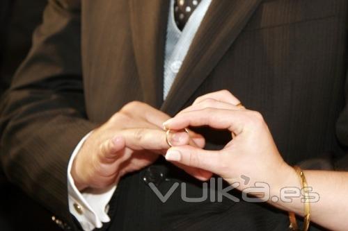 bodas avila