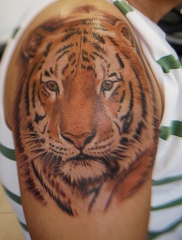 La maquina tattoo show - foto 12