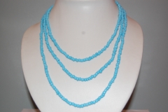 Collar gratis con tu proximo pedido hasta el dia 31 de agosto