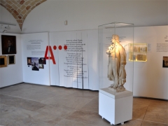 exposició