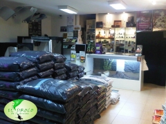 Vista interior de la tienda, fondo con iguana