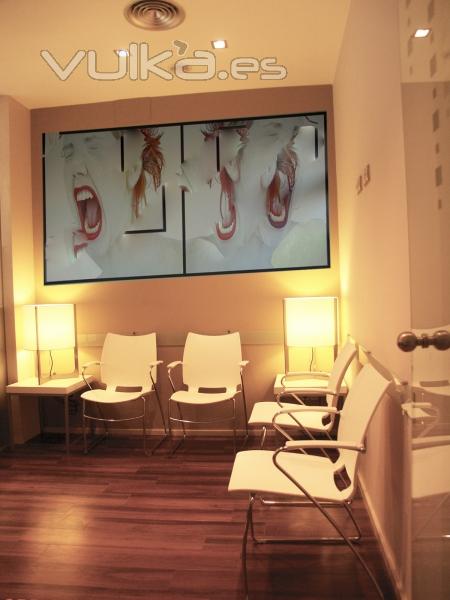 Sala de Espera en Clínica Dental en San Sebastián ( Guipúzcoa)