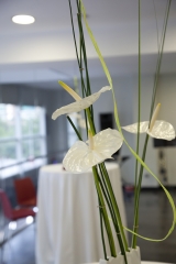 Decoracion de espacios