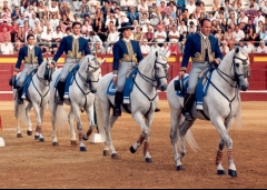 Carrusel de jinetes en el espectaculo el cartujano, todos los jueves a las 6 de la tarde