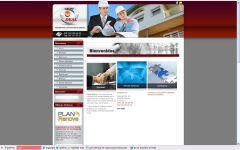 Diseno paginas web valencia > diseno web valencia > dusnices - foto 7