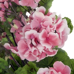 Planta artificial flores geranios salmon 55 en lallimonacom (detalle 2)