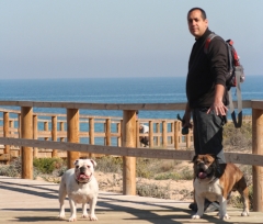 Adiestradores caninos a domicilio en santa pola